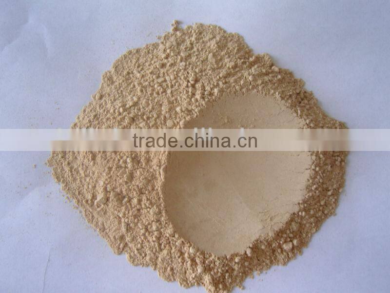 roasted garlic powder