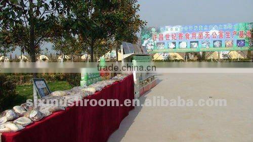 Best-selling smooth shiitake mushroom