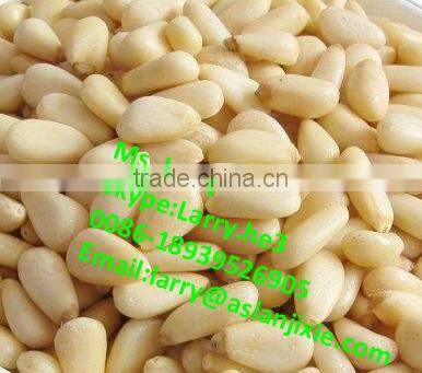 pine cone peeler machine/Siberian pine nuts peeler/peeling machine for pine nuts