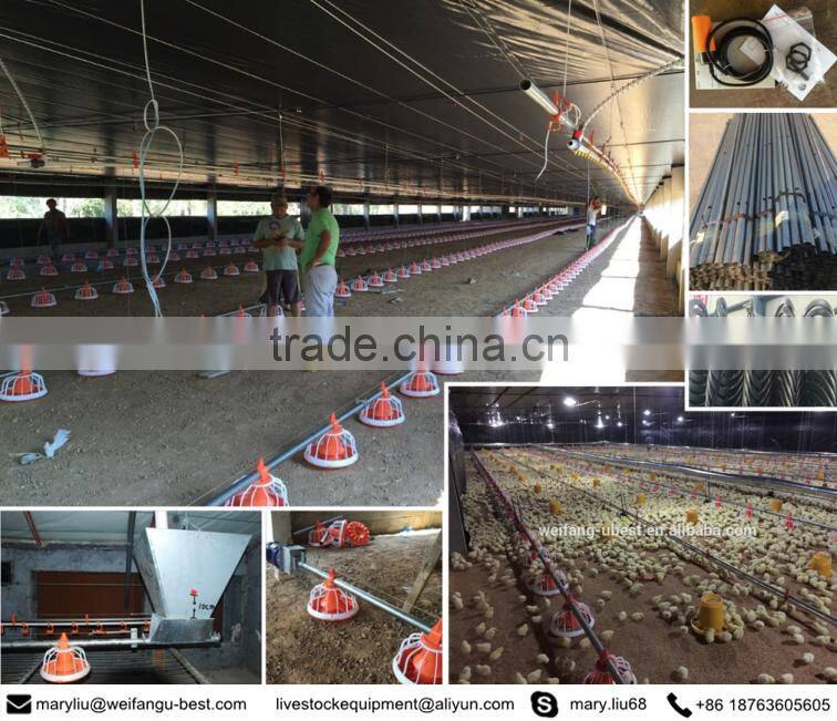 high quality low price industrial steel structure chicken coop