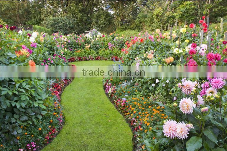 Chinese multi-stem artificial grass for garden