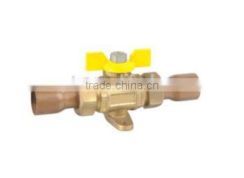 Electronic Water Valve