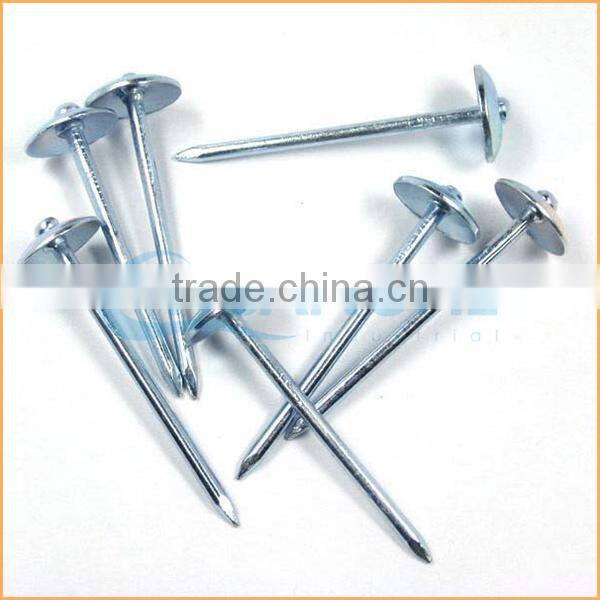 Top quality umbrella head screw rod roofing nails trusted Chuanghe suppliers from alibaba com
