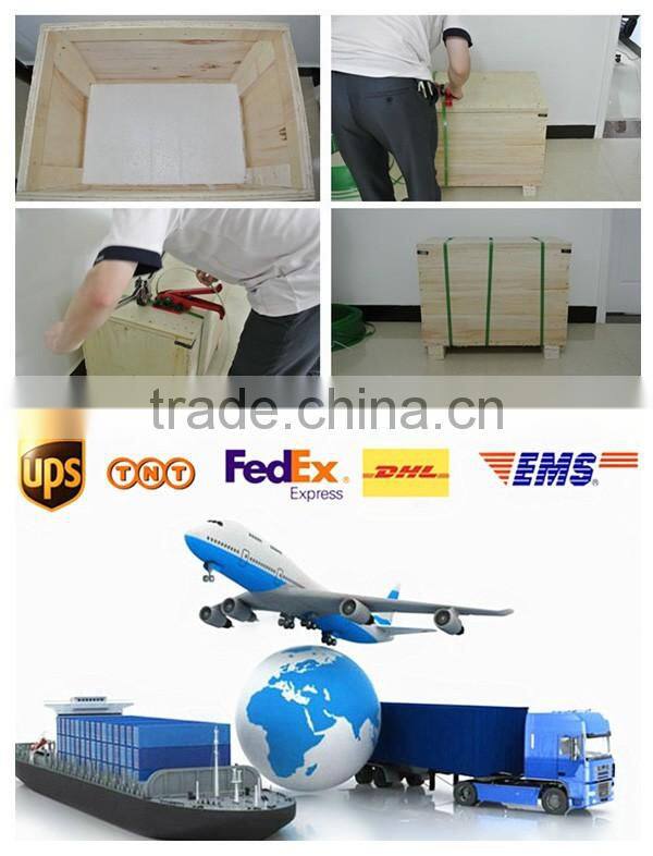 Non Chemical Corrosion Two Level Diaphragm Pump