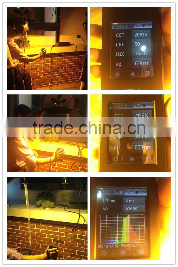 Hydroponics 600W Digital Dimming Electronic Ballast/Digital ballast 1000w grow light ballast electronic ballast/dimmable digital