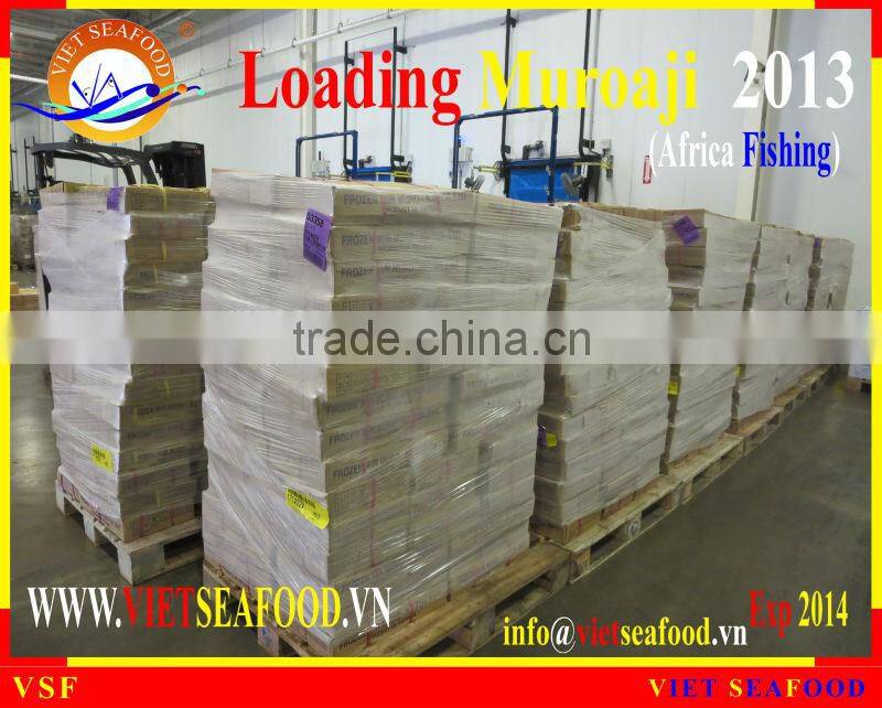 LOADING MUROAJI FOR TUNA BAIT