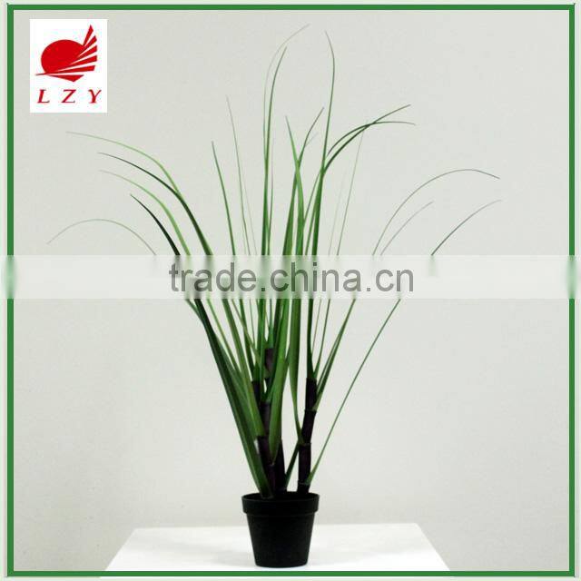 Factory Direct Sale Large Garden Decoration Onion Grass