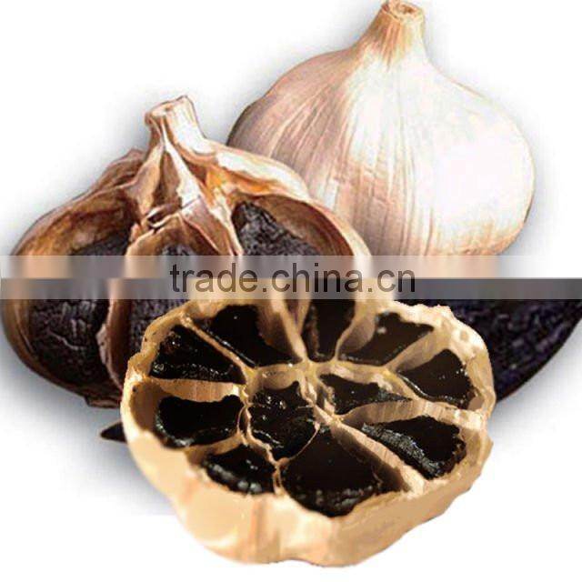 new product black garlic