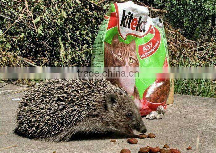 snack food packing machine