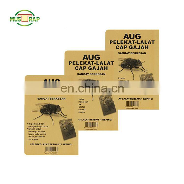 MUSTRAP hot sale INDIAN yellow Fruit Fly strong power  insect catcher glue Trap  killer Cardboard