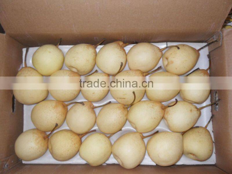 China fresh Ya pear for export best quality