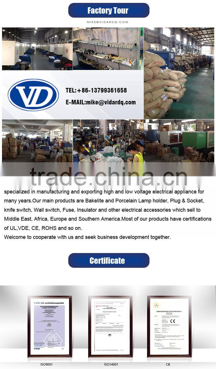 incandescent bulb edison light bulb