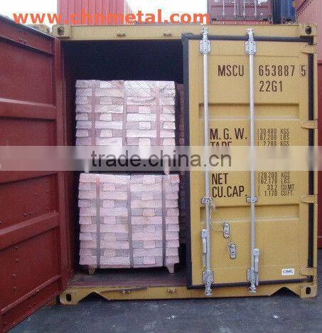 1000g Magnesium(Mg) ingots 99.98% purity