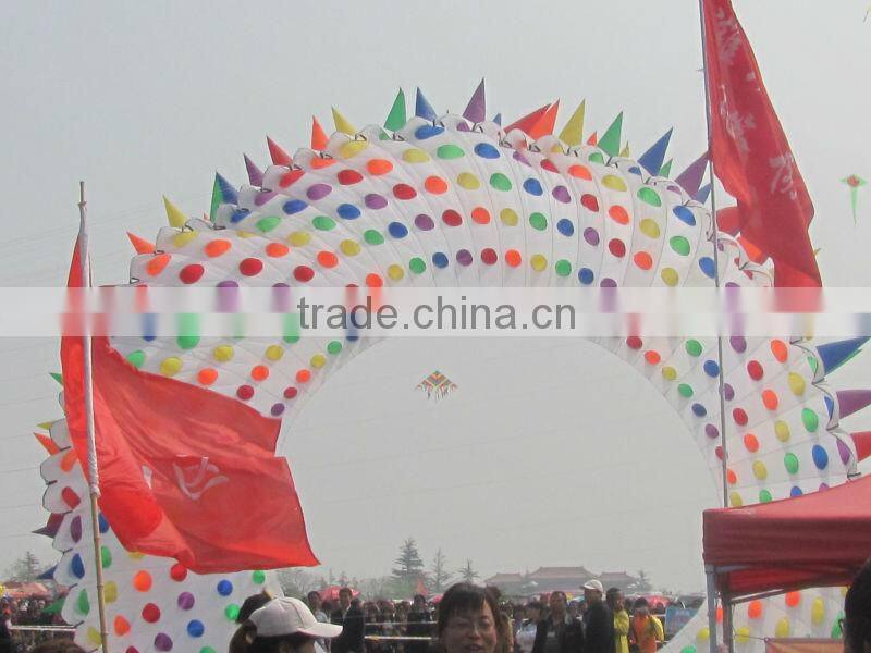 10m ring kite