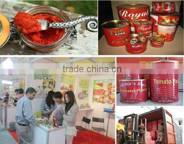 fresh tomato ketchup 425g