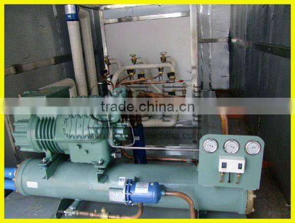 Energy-saving Plate Ice Maker for Fishery