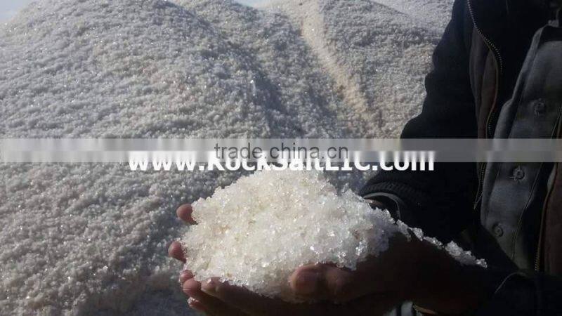 Sodium Chloride 98-99% NACL inspected by (sgs) in bulk shipments