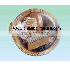 Car brush with bristle