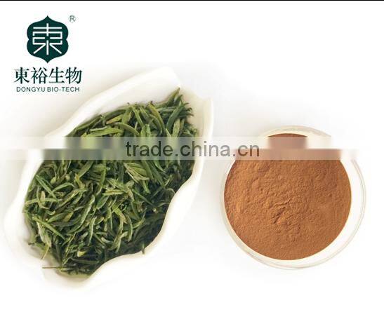 Green Tea Extract different ratio of polyphonel 20% 50% 80% 90% with best quality and low price