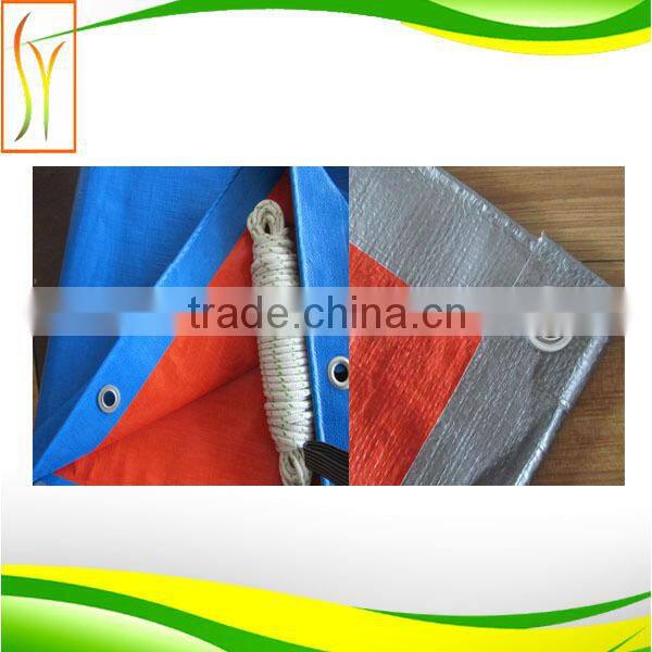 pe transparent mesh tarp sheets ,size,gram made to order high quality scaffolding cover leno tarpaulin