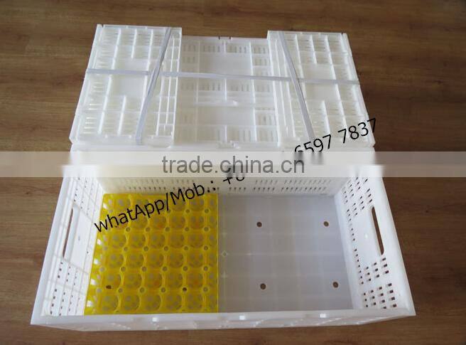 30 holes plastic egg tray for packing and transportation 30*30*5 cm plastic egg tray (Lydia: 008615965977837)