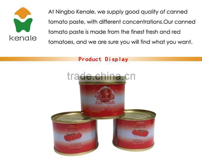 Small tomato paste machine for hard open lid 70gx50tins