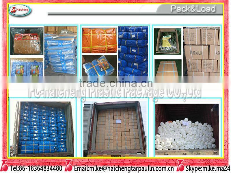 waterproof canvas fabric,Truck Bed Tarp,pe plastic drop sheet,Ground sheet cover