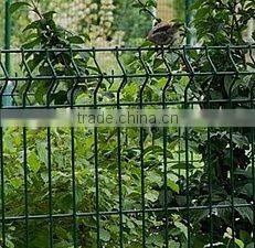 green garden fence netting
