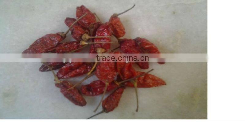 INDIAN FAMOUS WHOLE CHILI