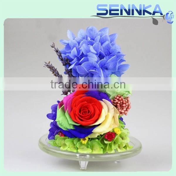 2016 Natural Preserved Fresh Flower in Hot Design High Transparency Pyrex Glass Dome with Base