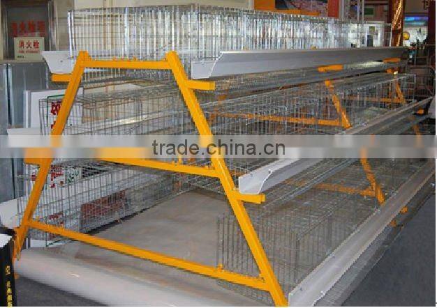 Automatic chicken cage