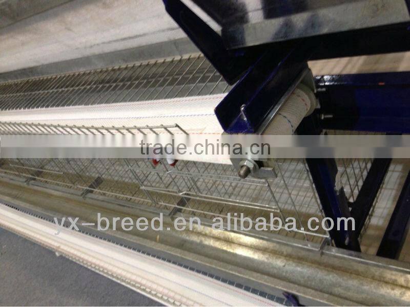 Poultry cages for chicken breeding