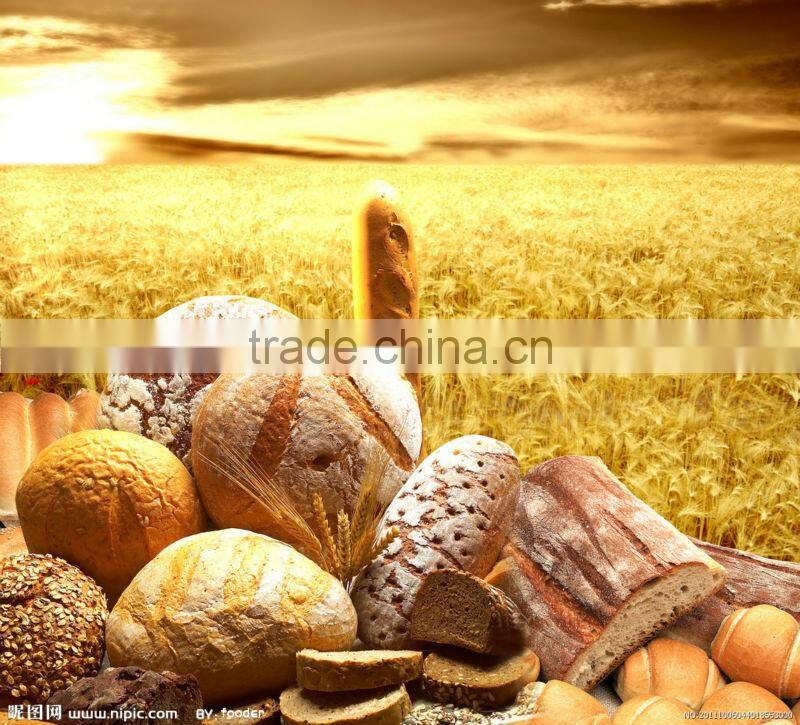 hot sale Gas bread Oven with three level