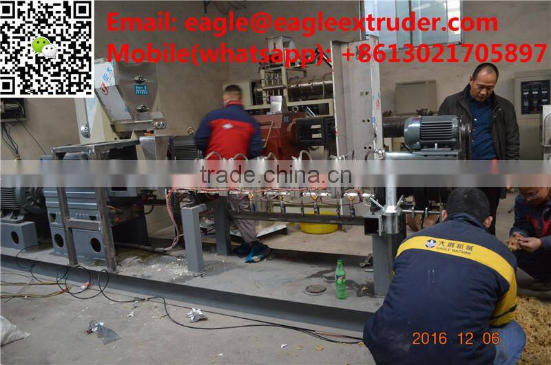 Jinan Eagle DP75 200-300/h 2D and 3D wheat and potato and corn snack pellet chips extruder machine production line