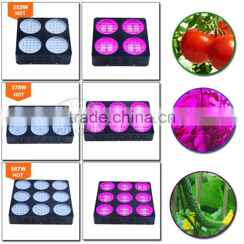 New Project For Vertical Farming Hydroponic Commercial System High Lumen 600 Watt LED Grow Light
