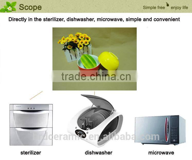 New Product colorful porcelain salad bowl