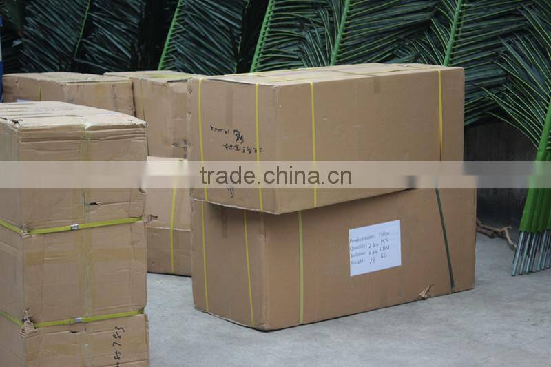 Decoration bonsai lucky tree at low price