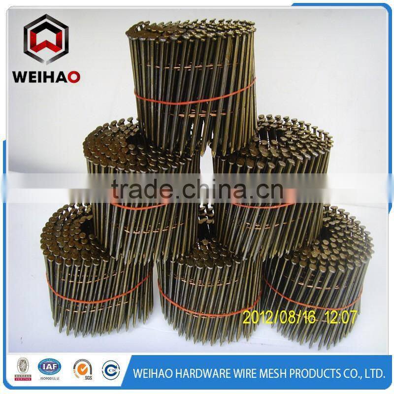 galvanized twisted nails coil nail yellow zinc plated
