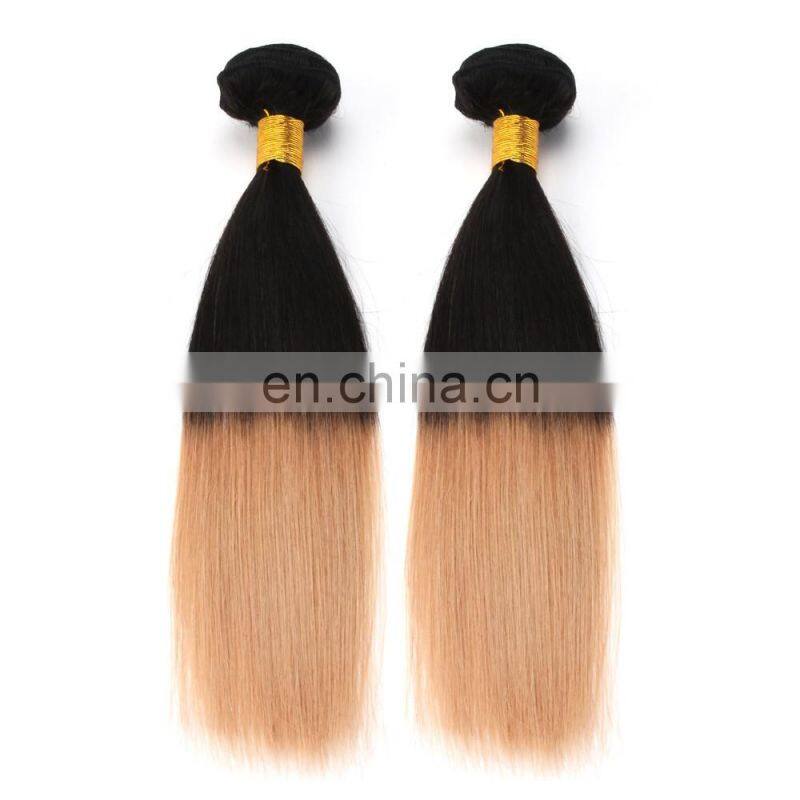 Express ali factory price ombre european virgin 100 human hair