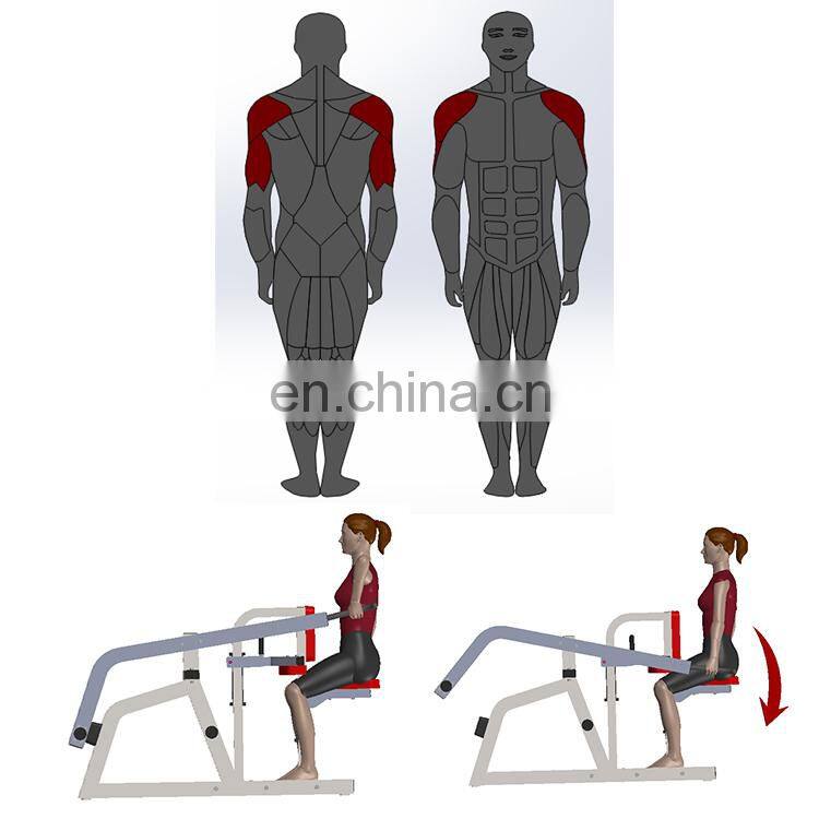 High Quality Commercial Exercise Strength Equipment Seated Dip For Gym Equipment