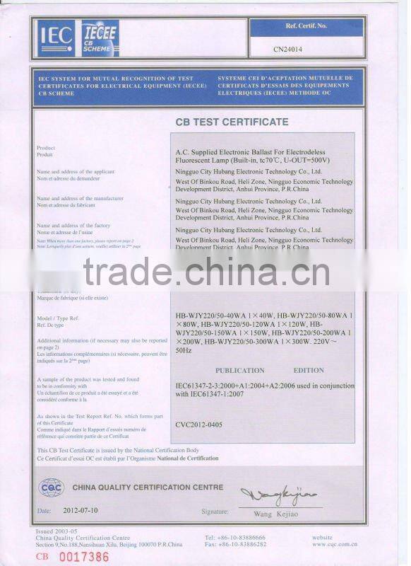 china lighting product Energy saving 80W electrodeless round induction circular lamp