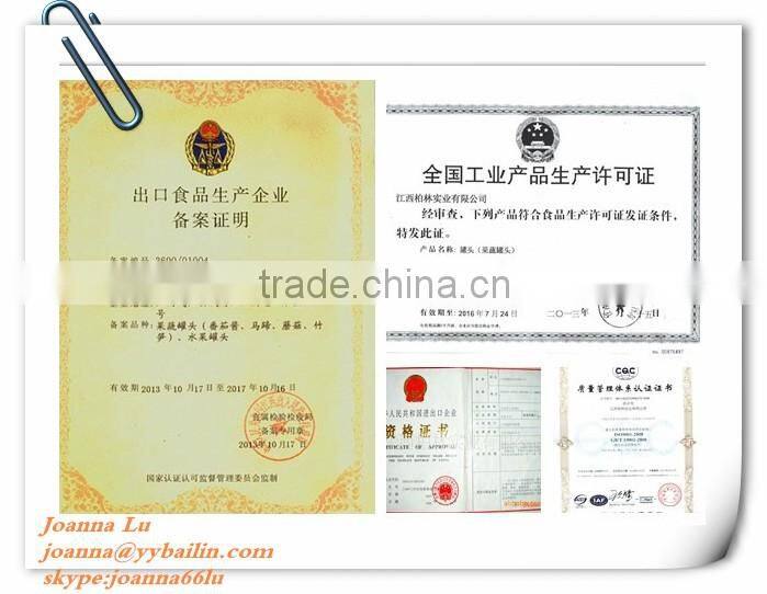 Factory supply high concentrated 70g-3KG CANNED TOMATO PASTE