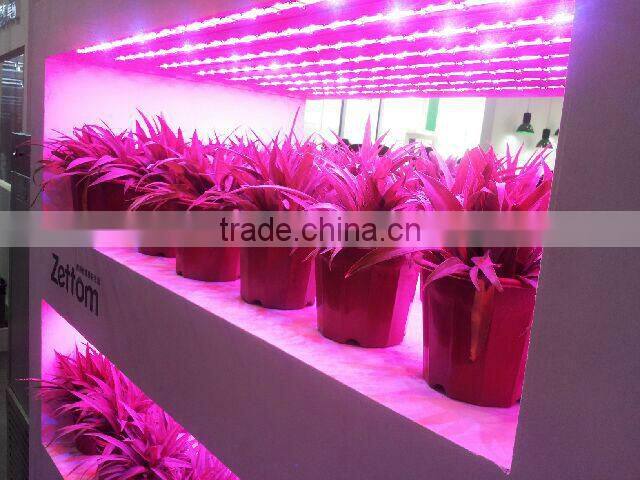 Perfect growth induction lamp 40w-300w