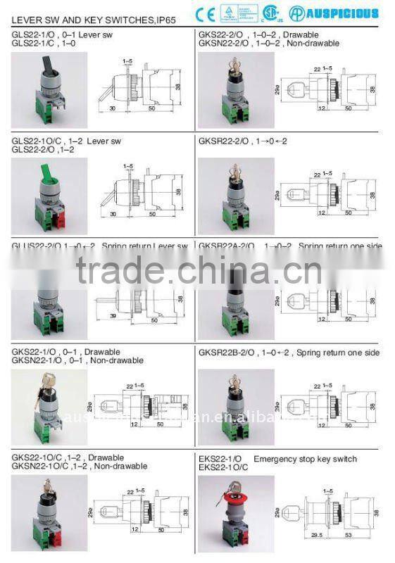 22mm Key Lock Switch, 3 Position Key Switch, IP65 (GKS/GKSN223)