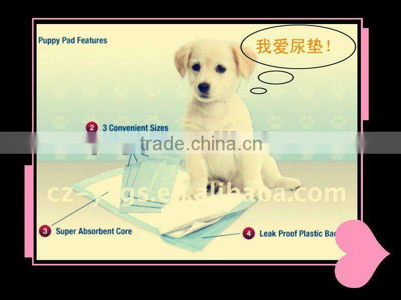 absorbent cat mat