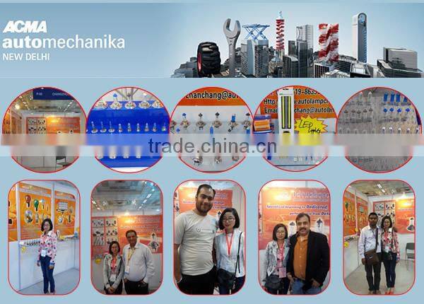 china auto bulb cheap hard glass h3