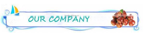 Bulk High Quality Fresh Green Dandong Chestnuts for Sale