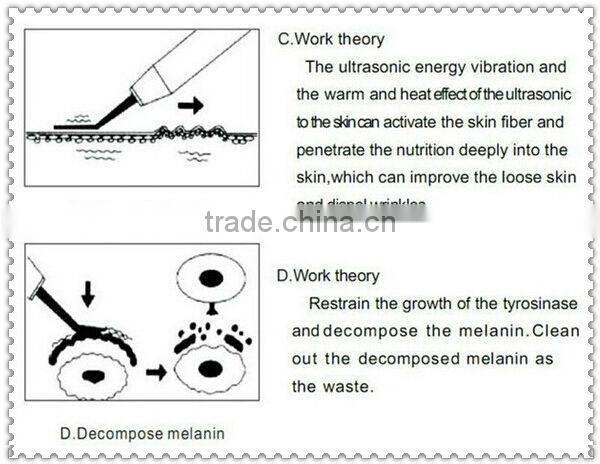 Piezoelectric Vibration Sensor for Electric Dead Skin Remover