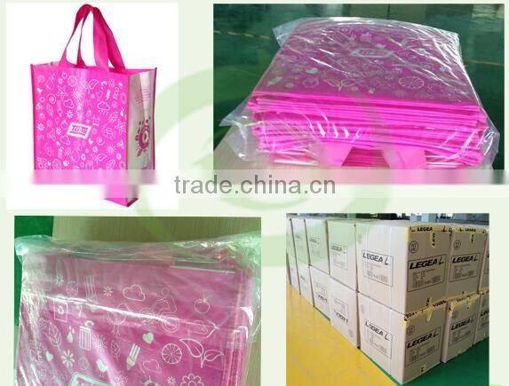 PP nonwoven 80gsm to Die-cut handle shopping bag
