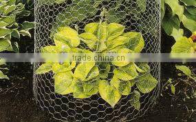 Galvanized Chicken wire mesh/Hexagonal wire netting( factory ISO9001 )